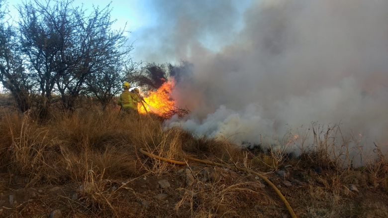 Grave incendio forestal en Ruta 1
