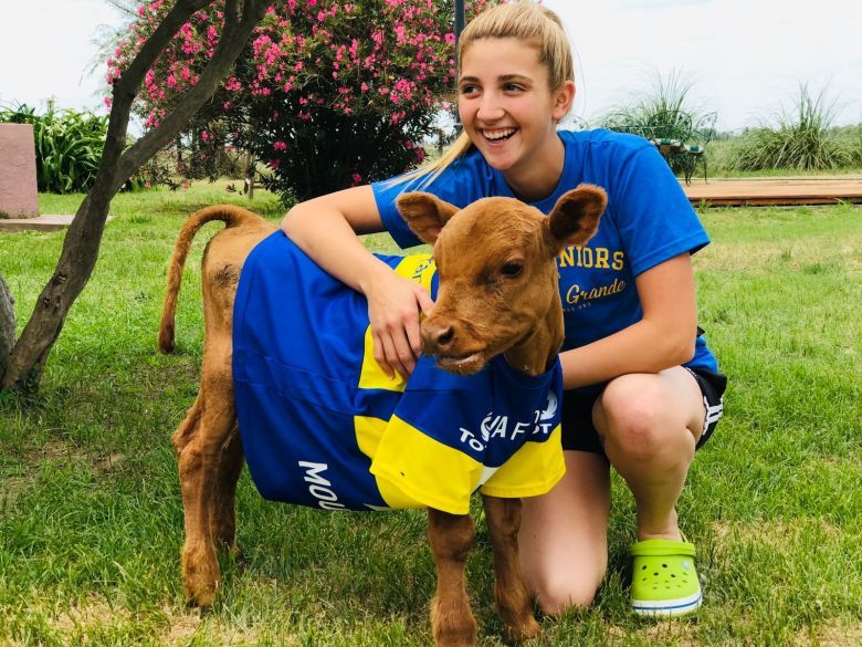 Valentina le salvó la vida a un ternerito y ahora es su mascota: "Es como un perro de 600 kilos"