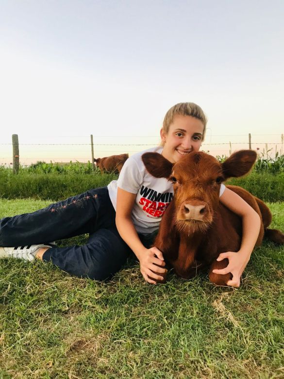 Valentina le salvó la vida a un ternerito y ahora es su mascota: "Es como un perro de 600 kilos"