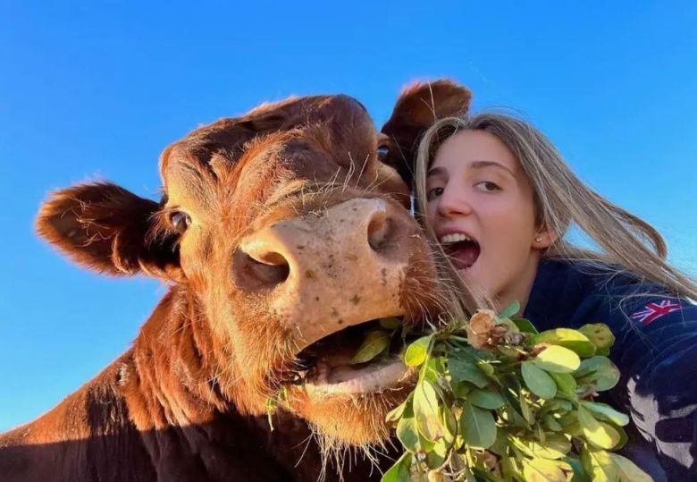 Valentina le salvó la vida a un ternerito y ahora es su mascota: "Es como un perro de 600 kilos"