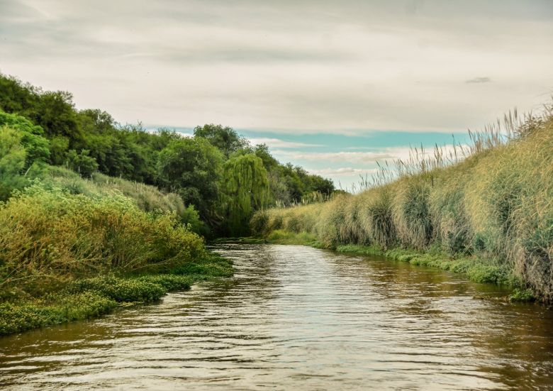 Río V