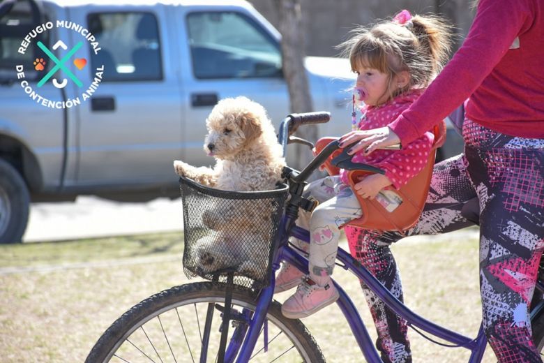 Continuarán las vacunaciones gratuitas para las mascotas de la ciudad