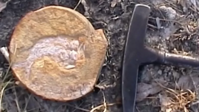 Hallan el corazón más antiguo del mundo en un pez prehistórico