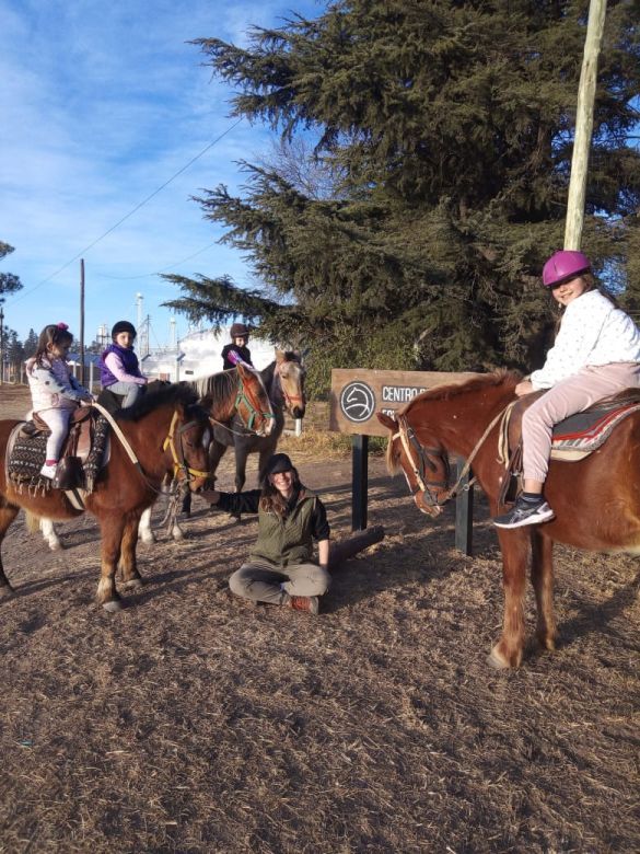 Día del caballo criollo: Vida y pasión por un "amigo" maravilloso