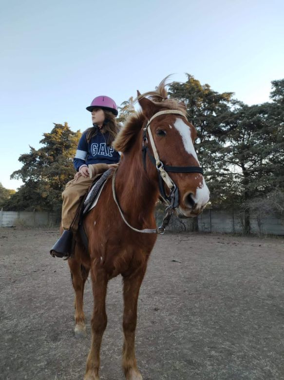 Día del caballo criollo: Vida y pasión por un "amigo" maravilloso