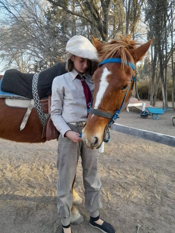 Día del caballo criollo: Vida y pasión por un "amigo" maravilloso