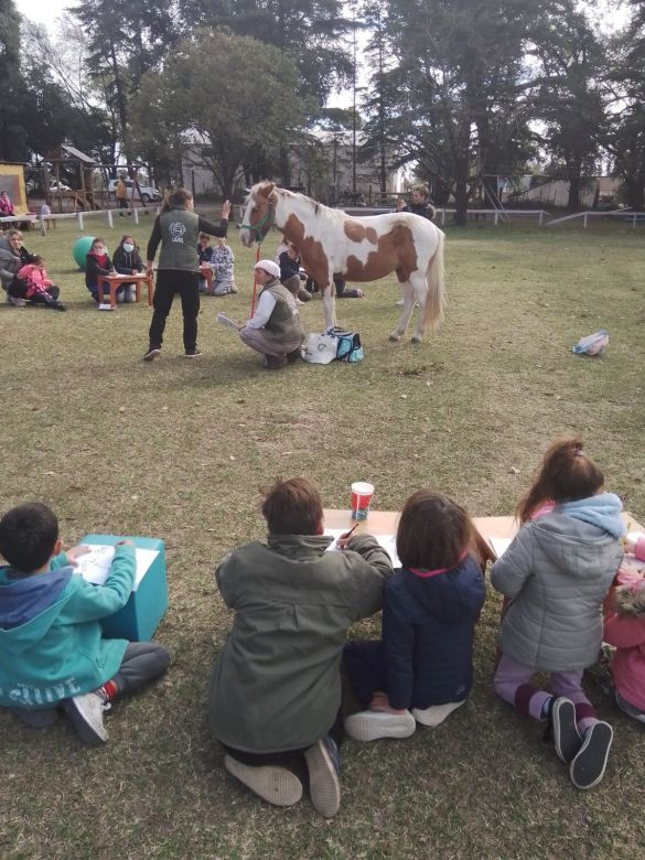 Día del caballo criollo: Vida y pasión por un "amigo" maravilloso