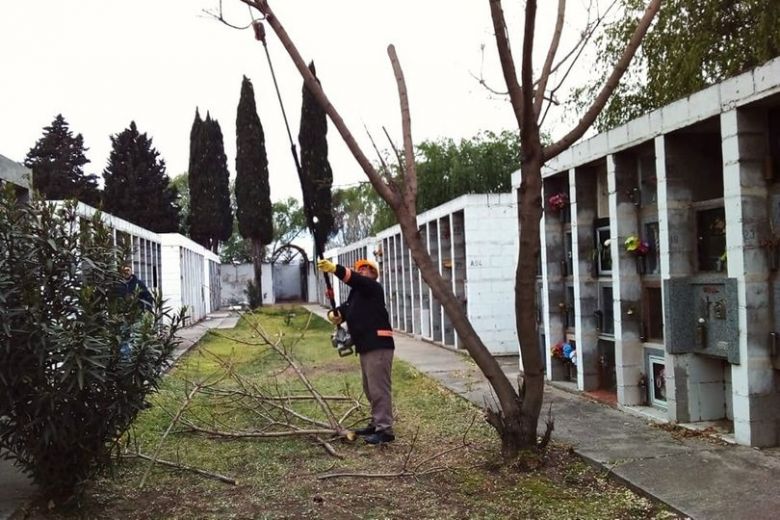 Realizan el mantenimiento del arbolado del cementerio municipal