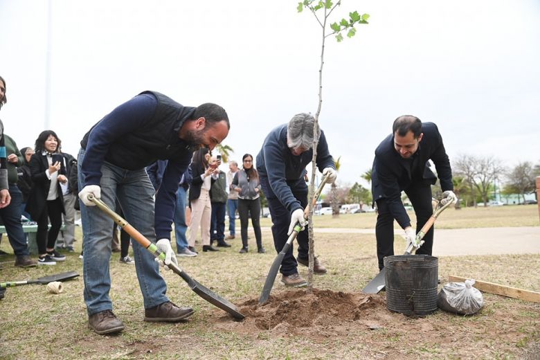 Cargill festejó sus 75 años donando árboles para la plaza Italia