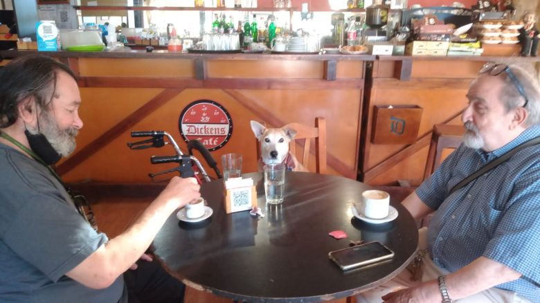 Corchito, el perro que “atiende” en un bar de Chivilcoy