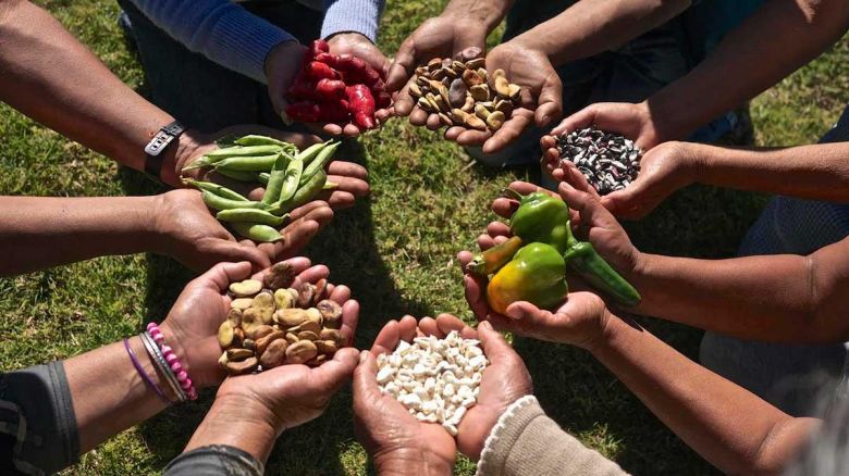 Realizarán el segundo taller sobre Soberanía Alimentaria