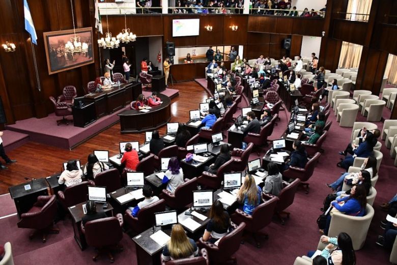 Estudiantes de Villa Mercedes representarán a la provincia en el Parlamento Juvenil del Mercosur