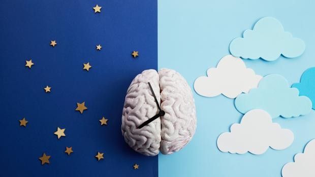 Melatonina: cinco preguntas con respuesta para entender qué es y cómo funciona