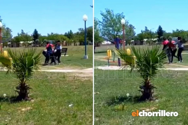 La violencia escolar registró otra feroz golpiza: tres chicas golpearon a una compañera