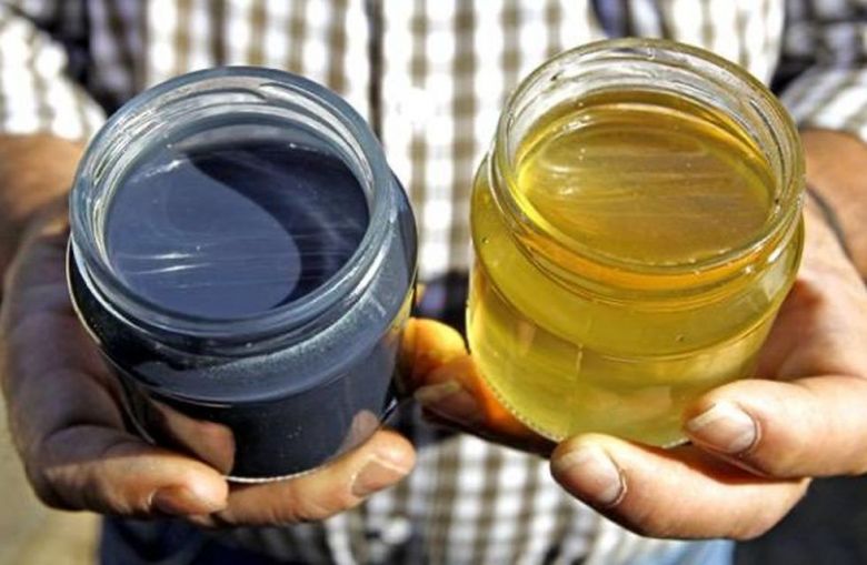 Extraño fenómeno viral en Twitter: por qué las abejas producían miel azul