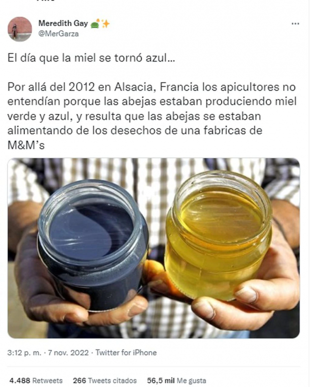 Extraño fenómeno viral en Twitter: por qué las abejas producían miel azul