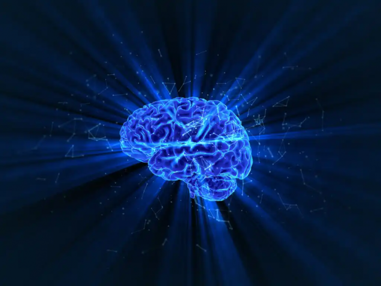 Neurobiología del trastorno dismórfico corporal