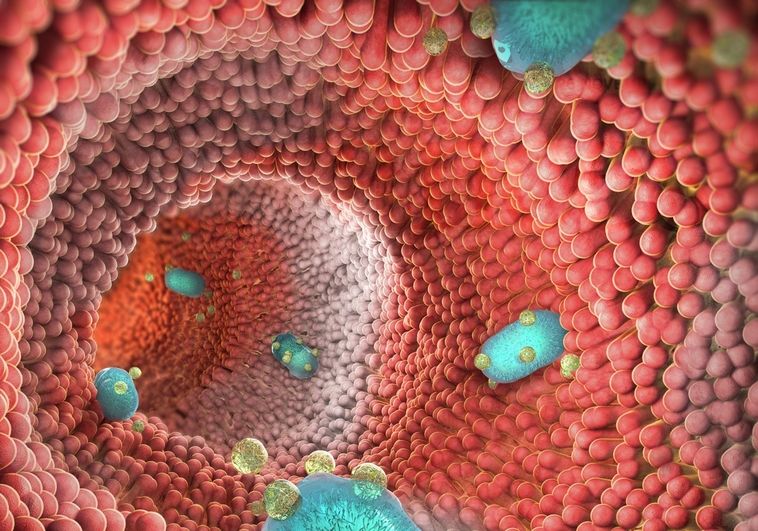 Probióticos para las enfermedades inflamatorias intestinales