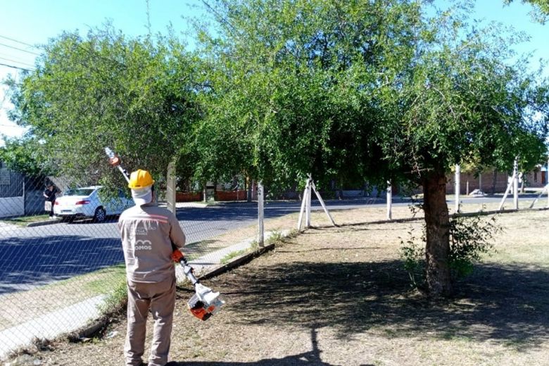 Tareas de poda en diferentes sectores de la ciudad