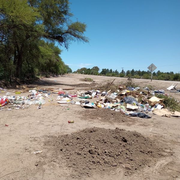 Volvieron a arrojar residuos en el punto verde de La Ribera