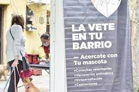 Vacunación de mascotas en plaza Italia
