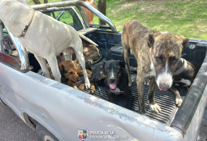 La policía secuestró elementos de caza