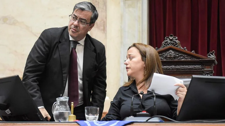 Moreau suspendió la resolución que designaba a los cuatro representantes de Diputados para el Consejo de la Magistratura