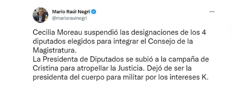 Moreau suspendió la resolución que designaba a los cuatro representantes de Diputados para el Consejo de la Magistratura