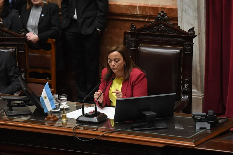 Moreau suspendió la resolución que designaba a los cuatro representantes de Diputados para el Consejo de la Magistratura