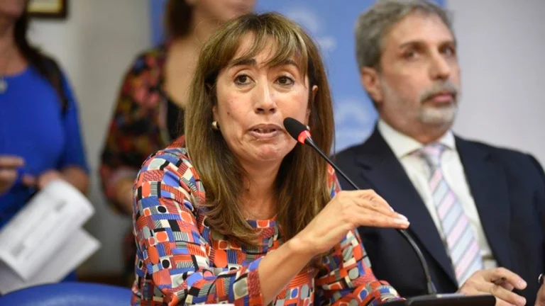 Moreau suspendió la resolución que designaba a los cuatro representantes de Diputados para el Consejo de la Magistratura