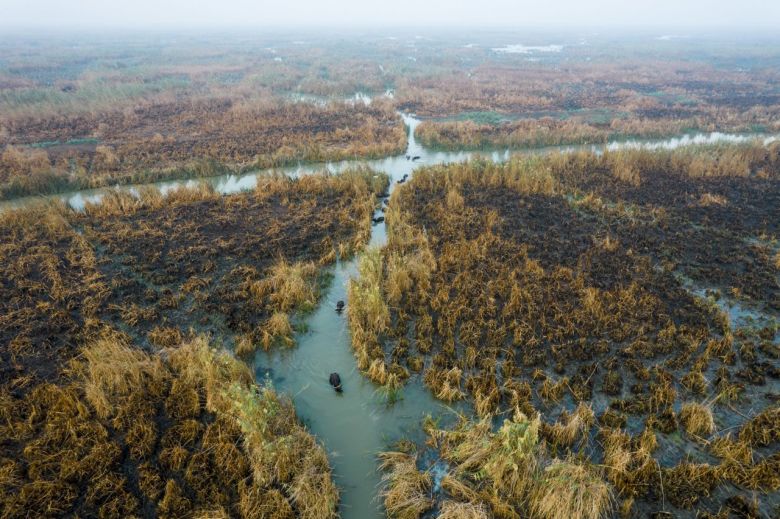 El agua y la sal