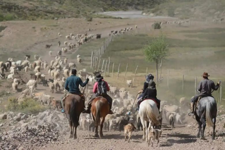 El guardafauna y fotógrafo, Martín Muñoz, que registra la trashumancia en Neuquén