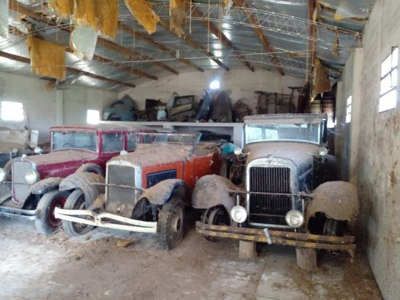 Encontró una increíble colección de autos antiguos en el galpón de un campo