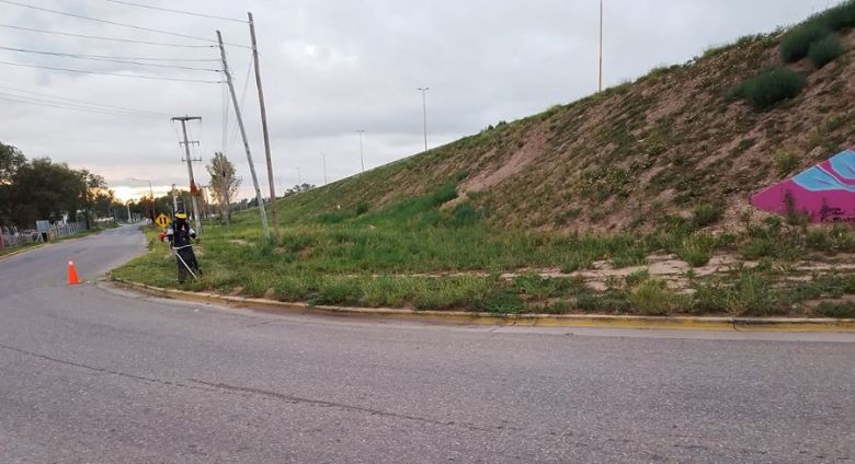 Continúa el mantenimiento de avenidas, espacios verdes, deportivos y recreativos