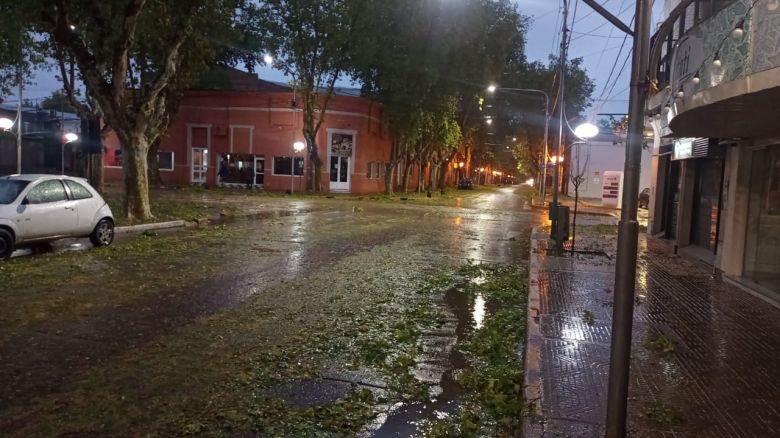 "La magnitud del temporal fue desastroso para Villa Mercedes"