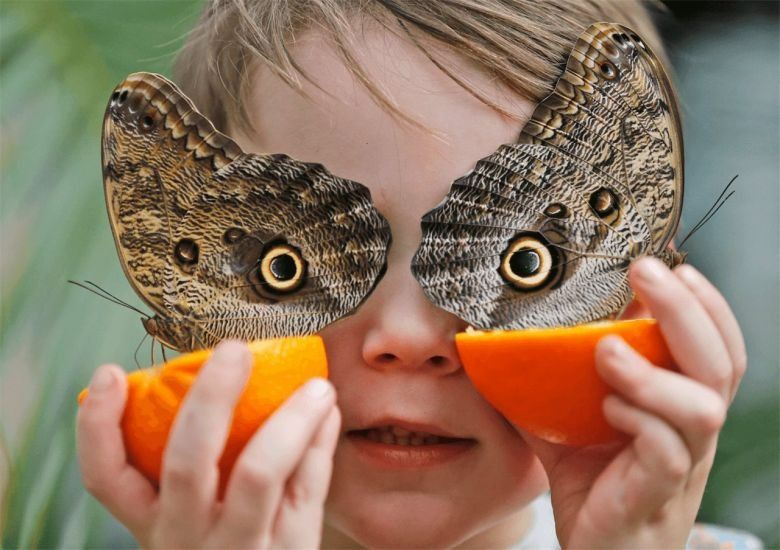Ojos de búho