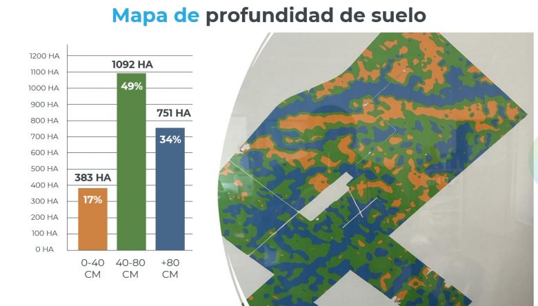 Un productor asegura que el trigo HB4 crece hasta en las toscas