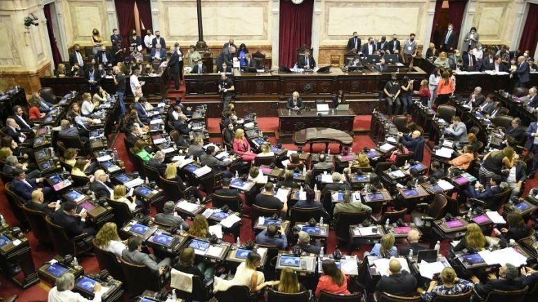 La Cámara de Diputados convirtió en ley el proyecto de moratoria previsional