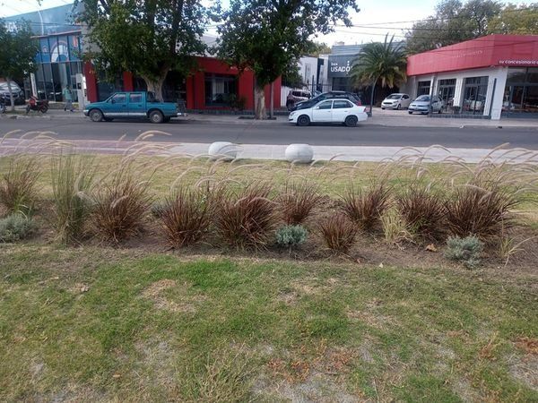 Tareas de mantenimiento en plazas y espacios públicos