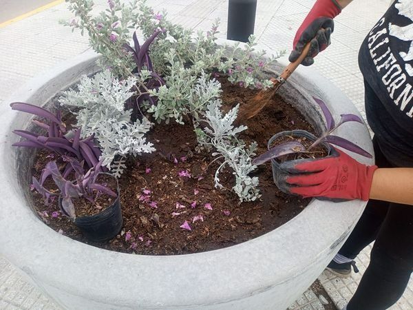 Tareas de mantenimiento en plazas y espacios públicos