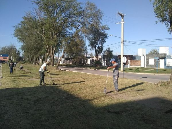 Campaña de forestación: plantamos 200 árboles en la ciudad