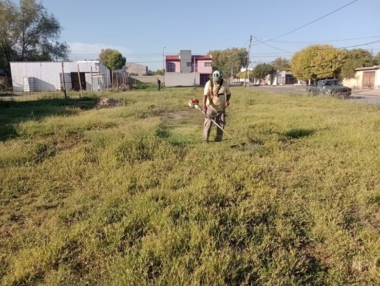 Se profundizó la limpieza en la ciudad 