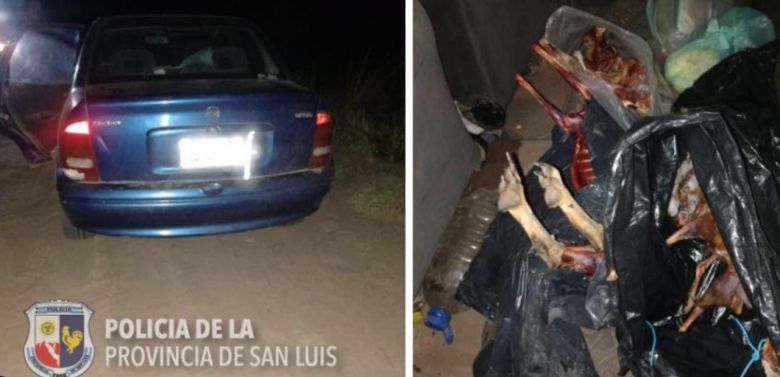 Interceptaron a un cazador furtivo y fue aprehendido