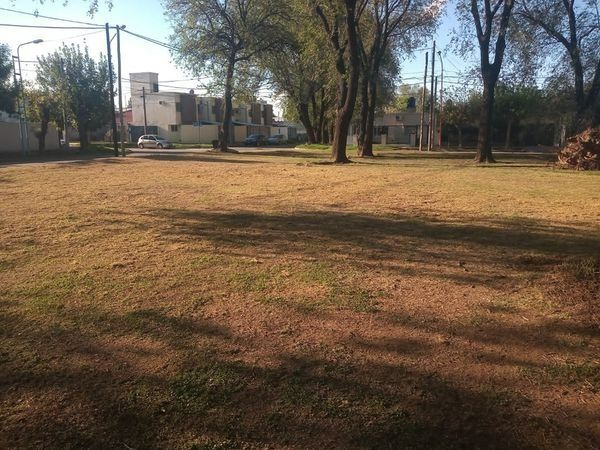 Tareas mantenimiento en plazas y zona centro de la ciudad 