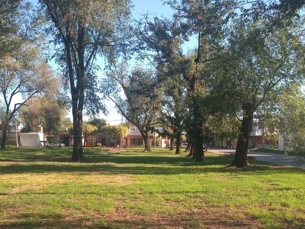 Tareas mantenimiento en plazas y zona centro de la ciudad 