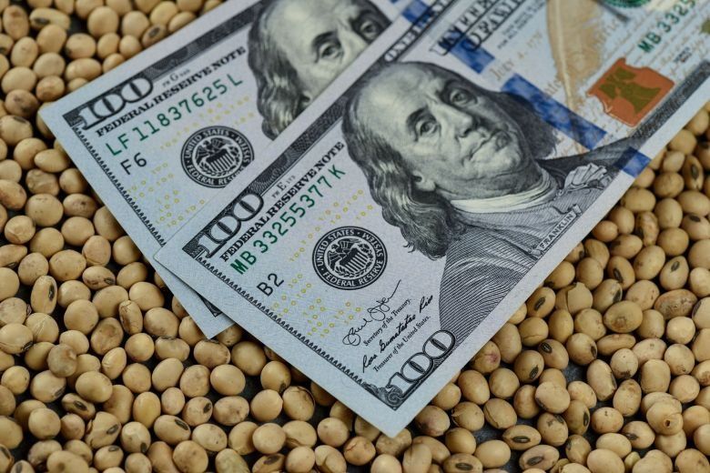 Dólar agro: el mercado espera una masiva liquidación de divisas en los próximos días