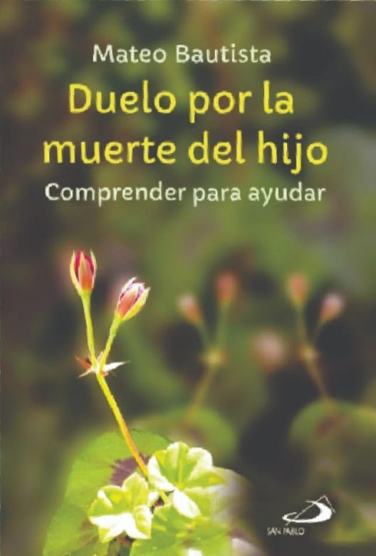 Presentación del Libro "Duelo por la muerte de un Hijo " por el Padre Mateo Bautista.