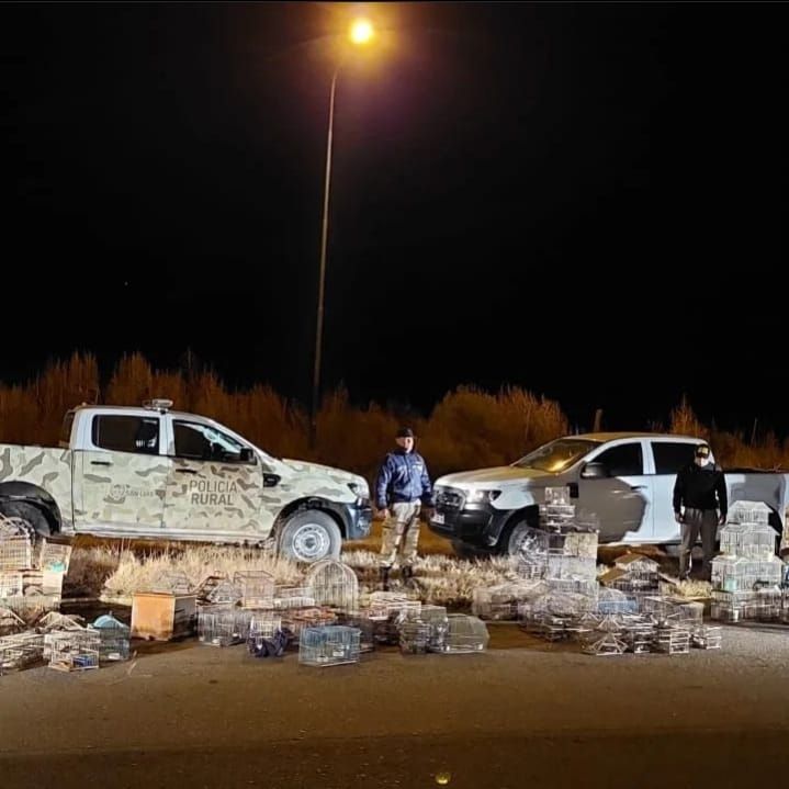  Villa Mercedes: la Policía rescató más de 140 animales en cautiverio
