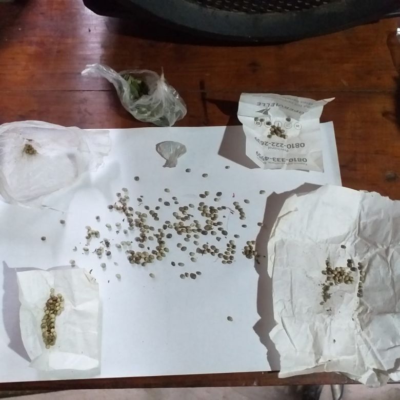 San Francisco del Monte de Oro: allanaron tres casas y secuestraron bienes sustraídos