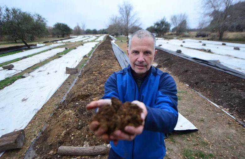 En Villa Allende la lombriz californiana transformó el agua de residuo cloacal en más de un 80%